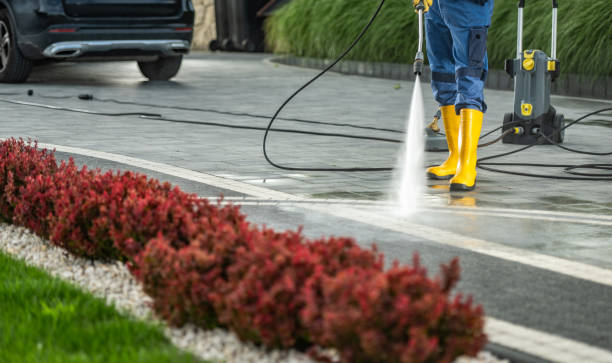 Animal Enclosure Cleaning in Randolph, NE